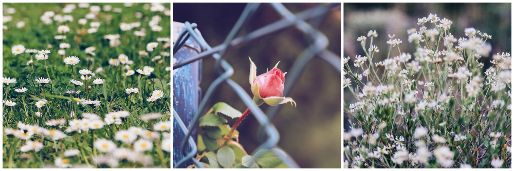 instagram-collage-mayo-16-2