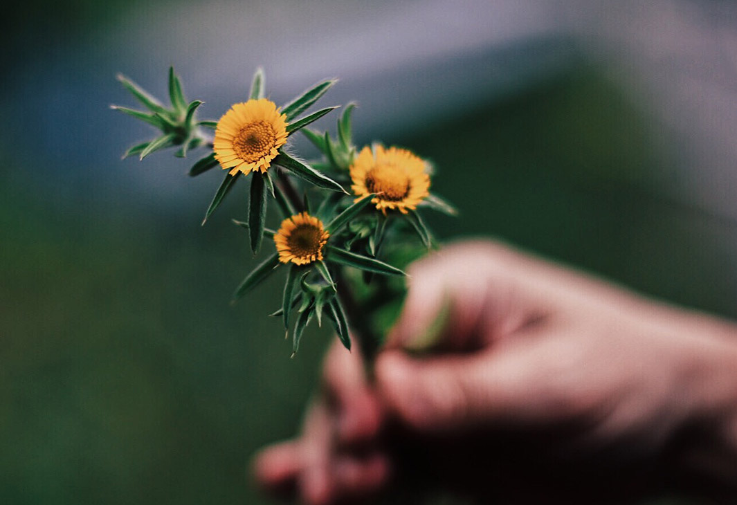 ❥ Versos en&nbsp;flor