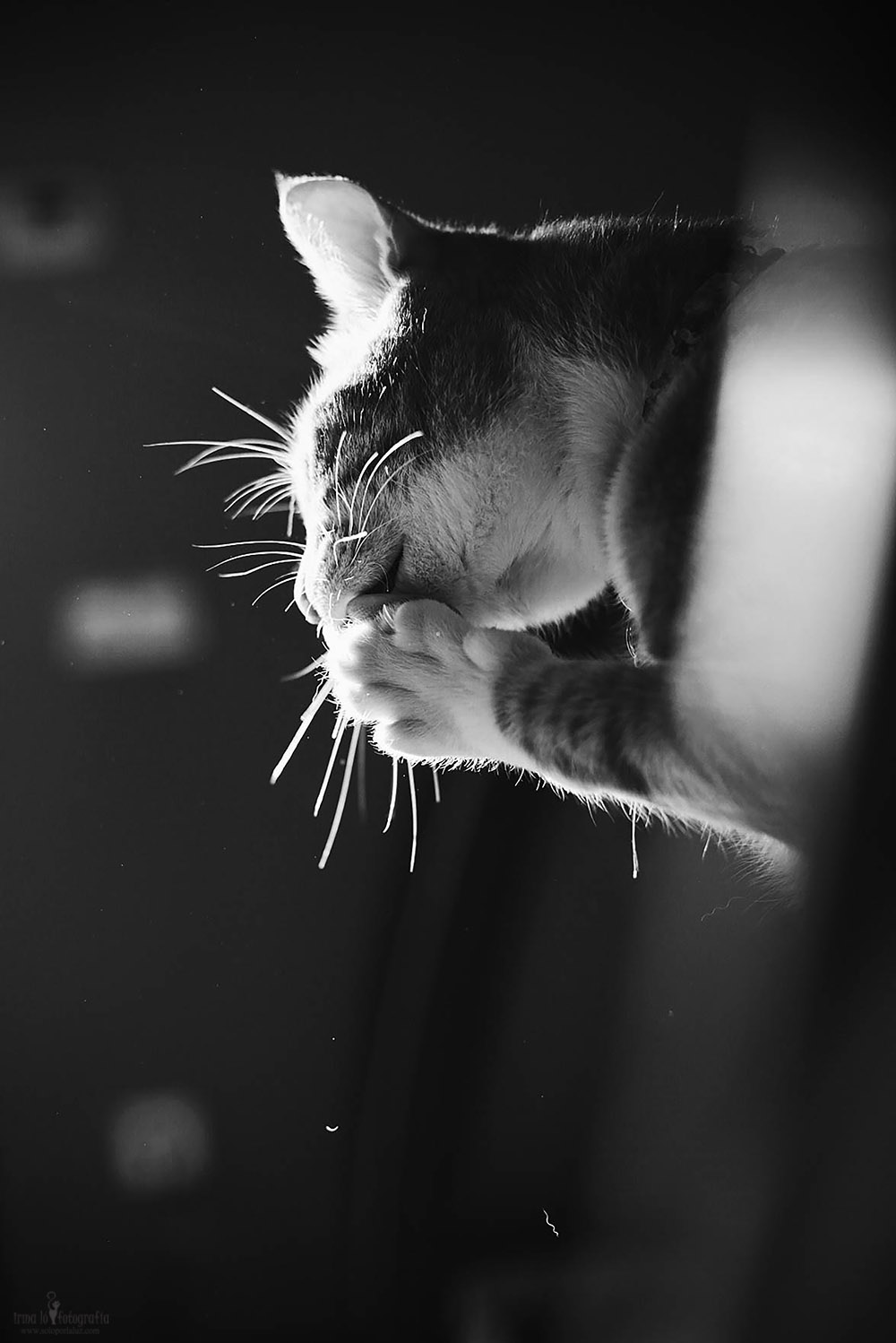 Processed with VSCO with b1 preset