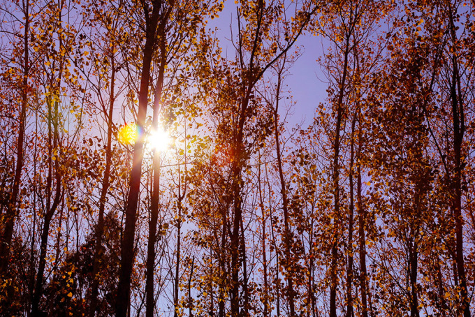 ❥ Como si anidaras&nbsp;allí