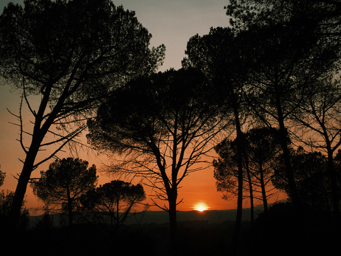 ❥ Si se&nbsp;pudiera…