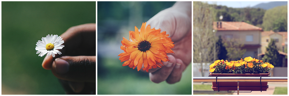 instagram-collage-mayo16-3-copia