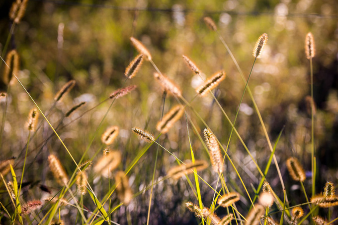 ❥ No estarás aquí para&nbsp;siempre