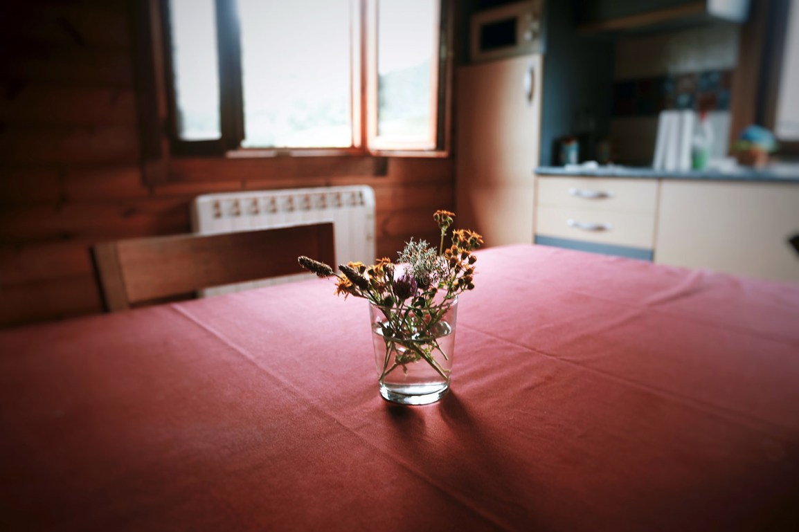 ❥ Mi canción&nbsp;favorita