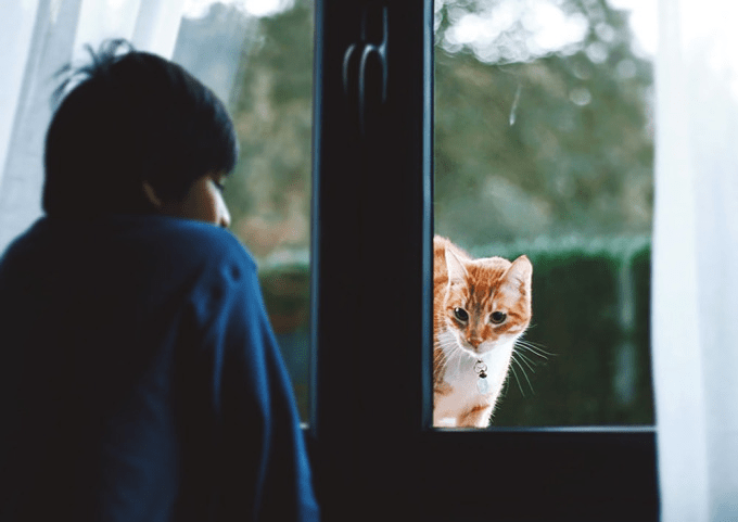 ❥ Breverías de fin de&nbsp;semana