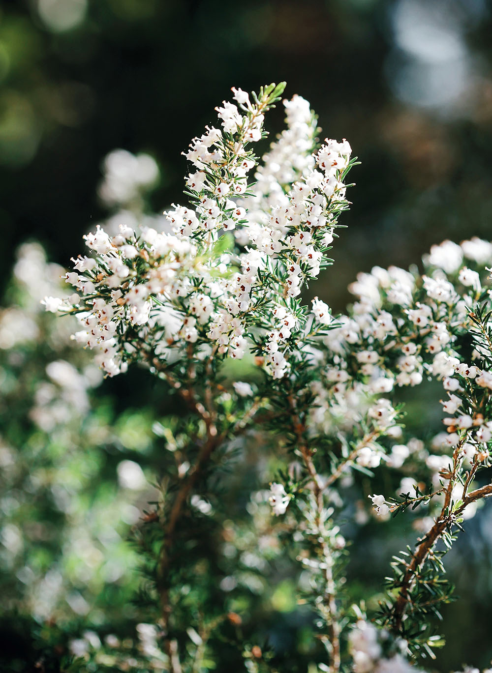 Processed with VSCO with j1 preset