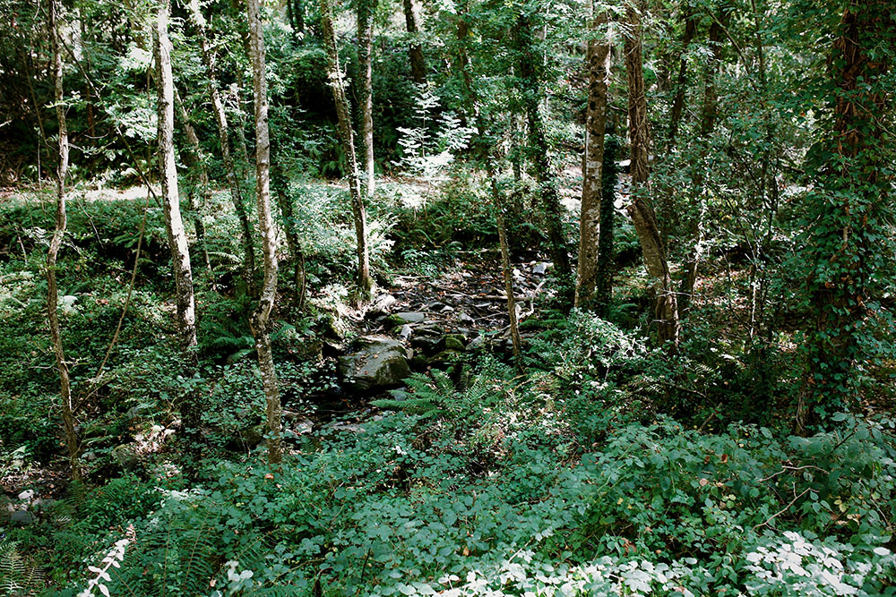 otoño2018-soloporlaluz-7