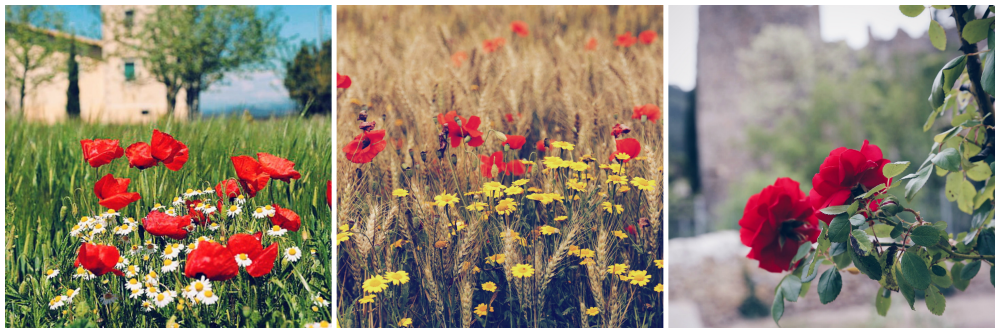 instagram-collage-mayo16-1