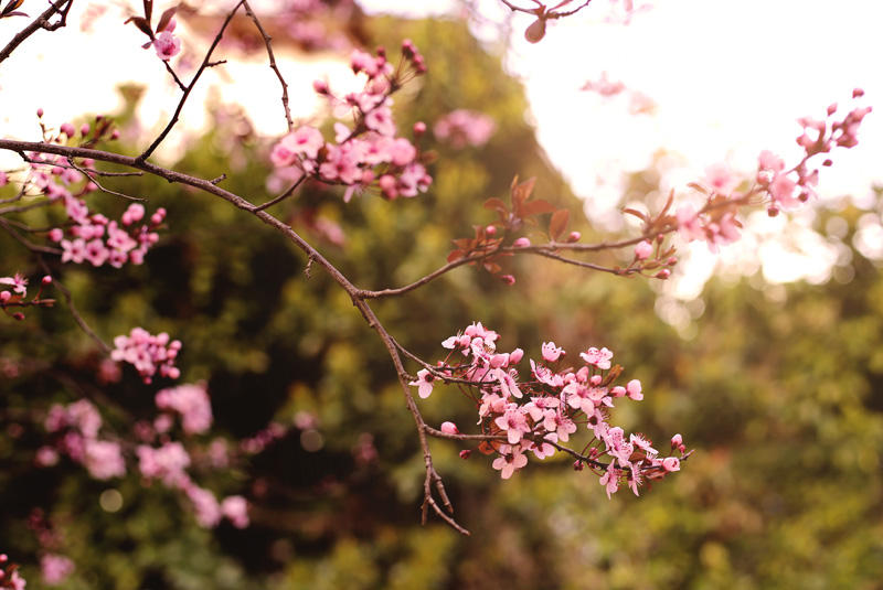 ❥ Porque tiene una&nbsp;canción…