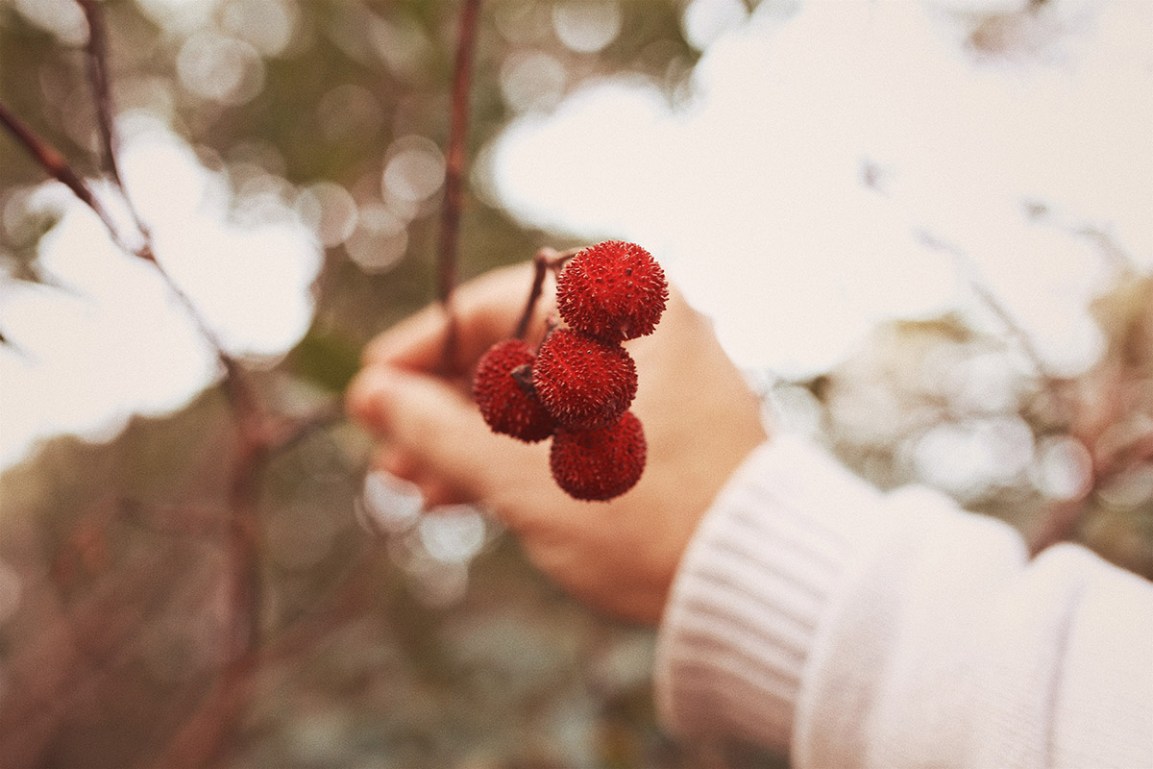 Processed with VSCO with g9 preset