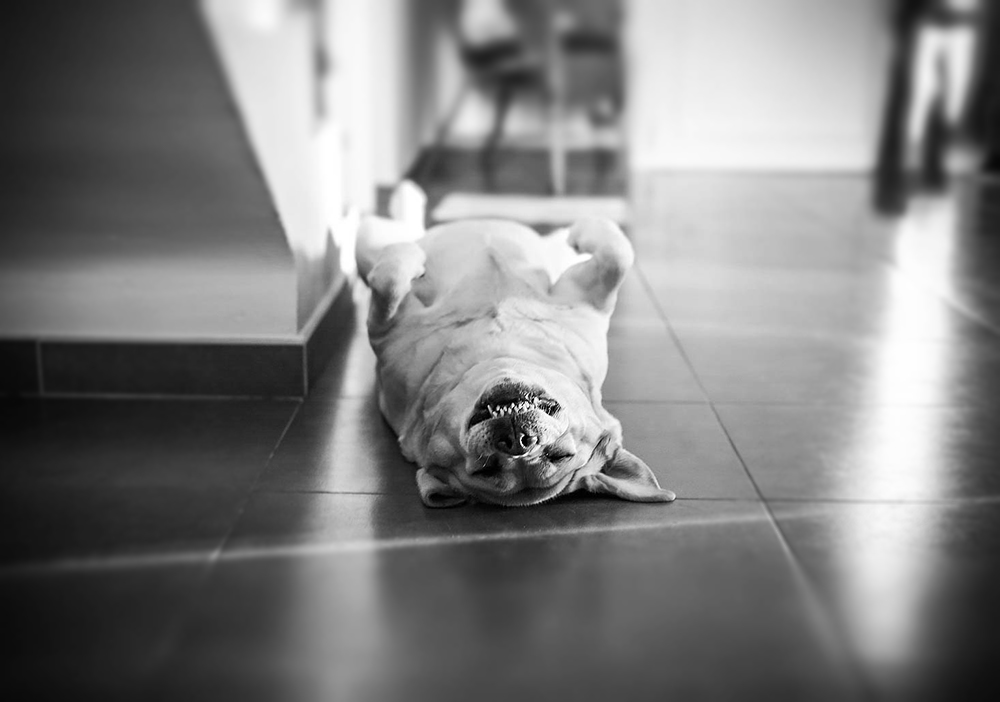 ❥ Y parece tan&nbsp;fácil