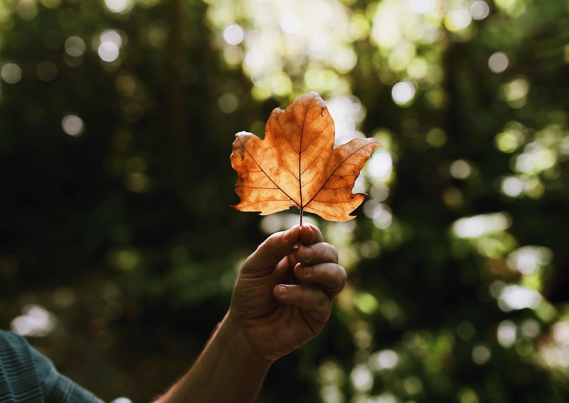❥ Pequeñas promesas de&nbsp;otoño