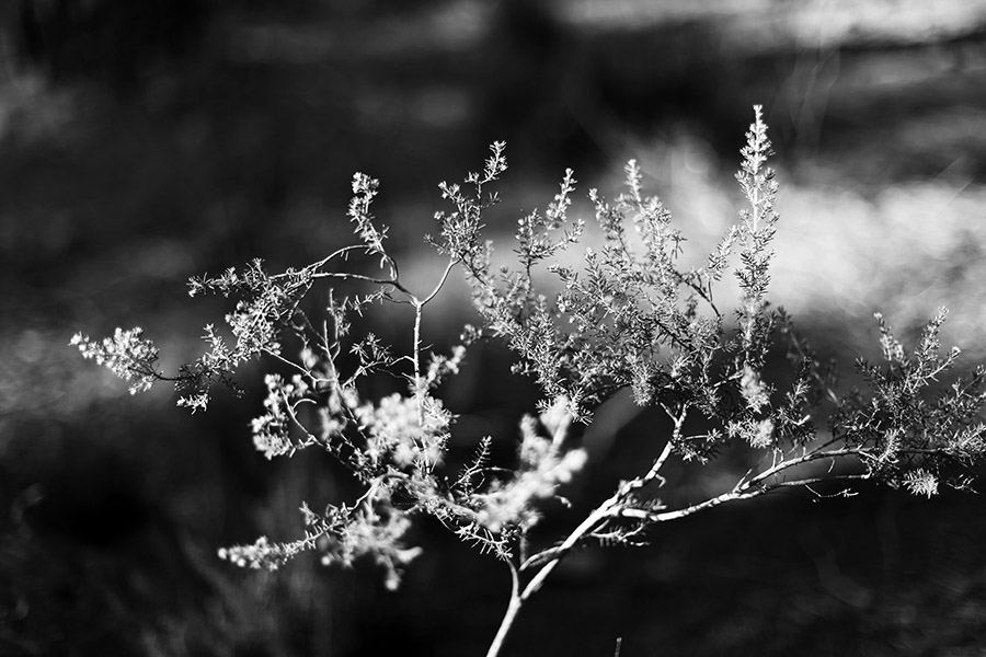 Processed with VSCO with 1 preset