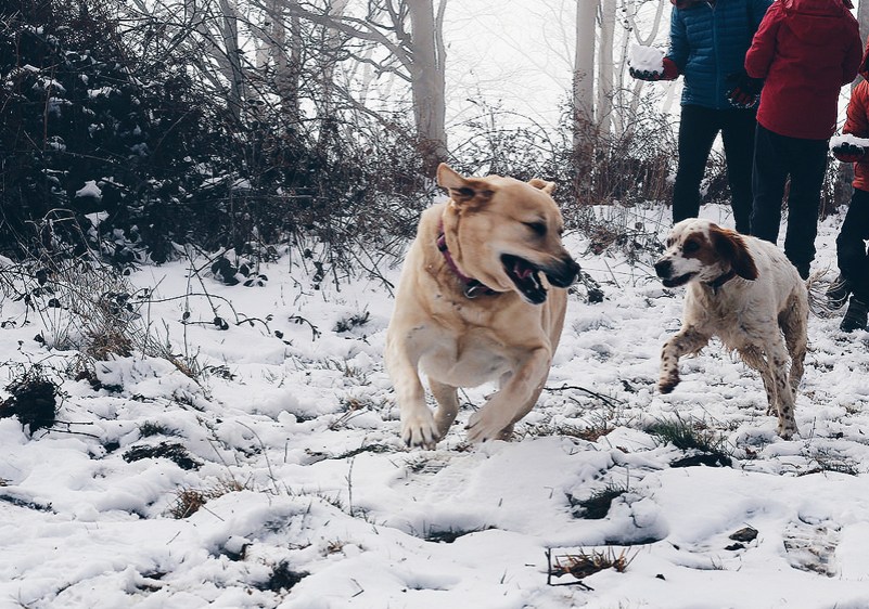 Processed with VSCO with hb1 preset