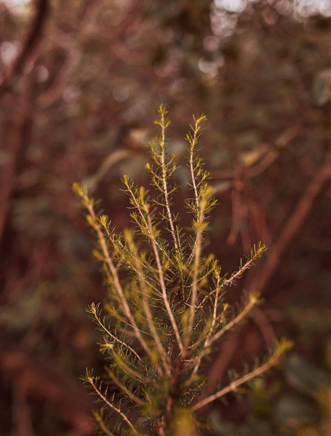 Processed with VSCO with g9 preset