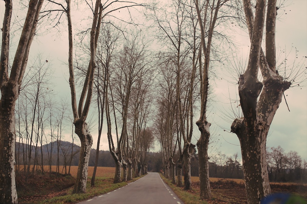 ❥ De ida y&nbsp;vuelta