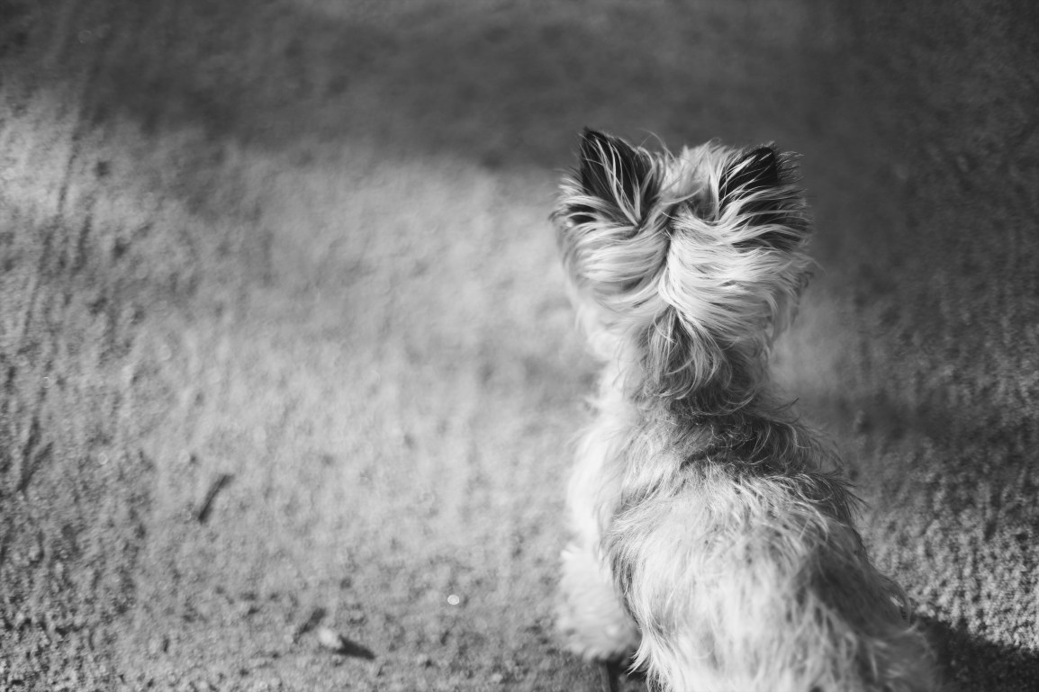 Processed with VSCO with b5 preset