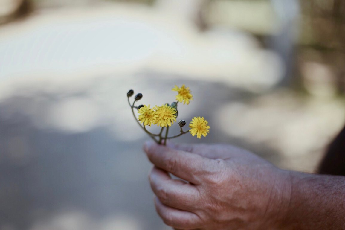 ❥ No hay flores en el último cráter de&nbsp;Venus