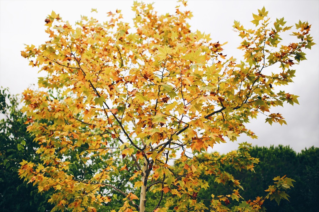 Processed with VSCO with hb1 preset