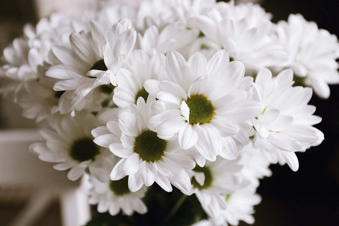 ❥ Flores para un&nbsp;lunes