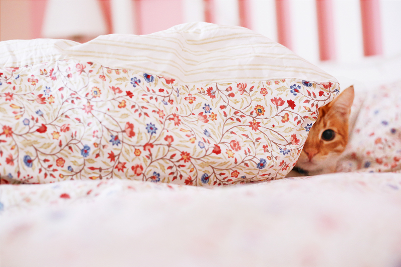 Processed with VSCO with a6 preset