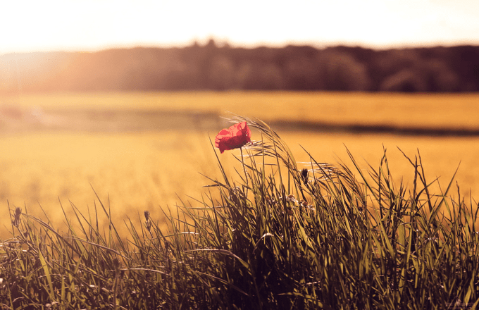 ❥ Casi nunca me&nbsp;entero