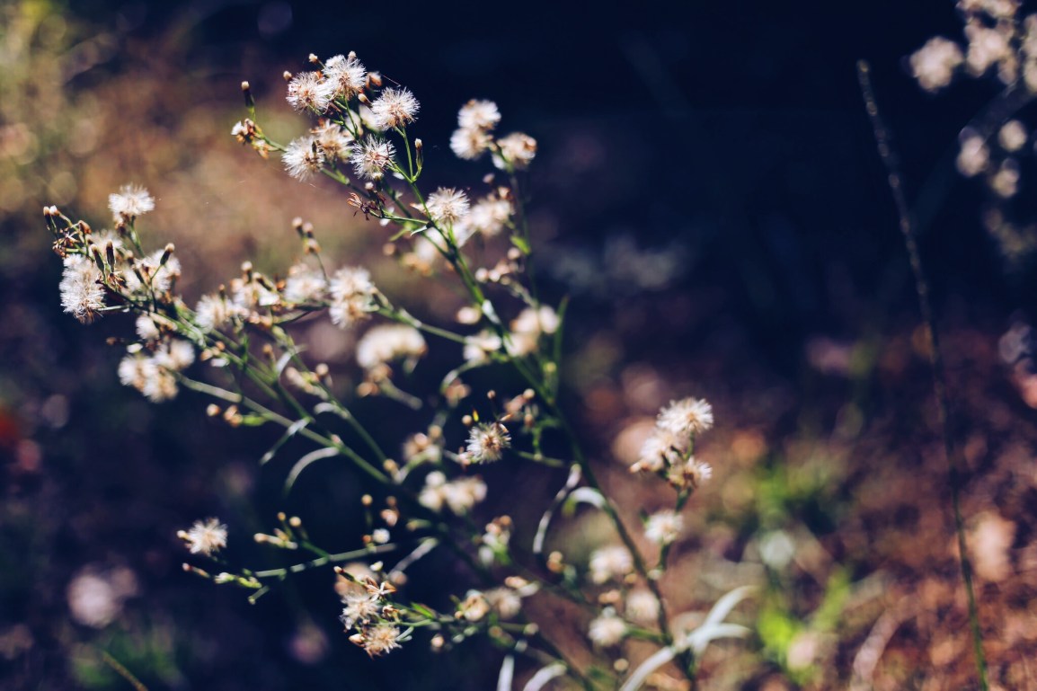 Processed with VSCO with a5 preset