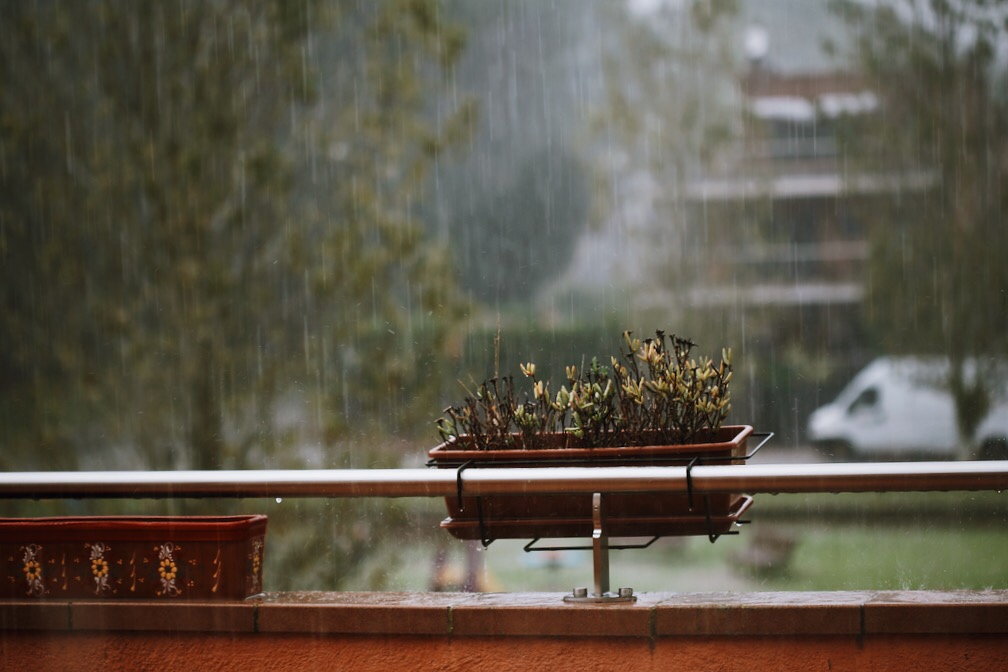 ❥ A veces&nbsp;sucedía…