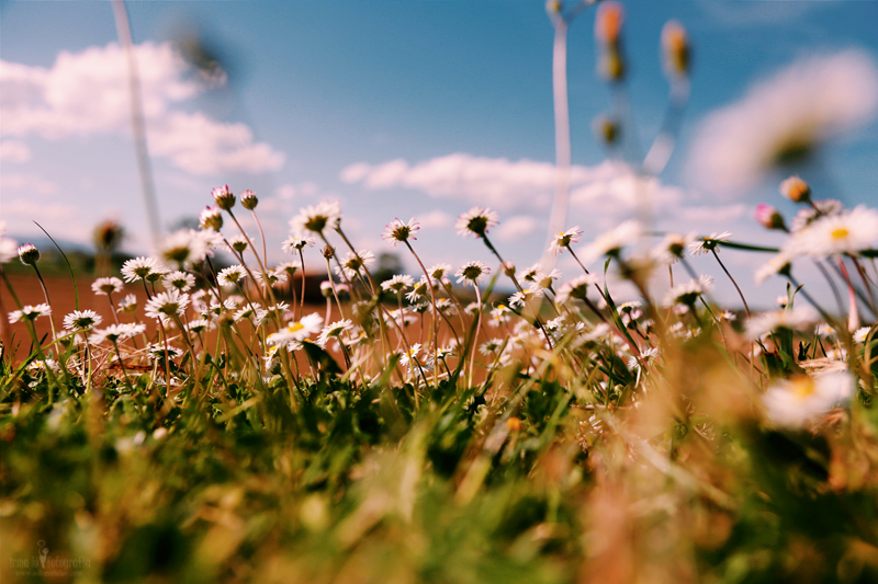 Processed with VSCO with c1 preset