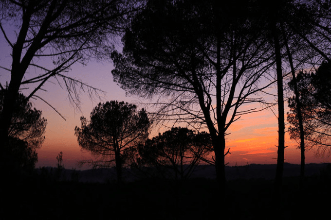 ❥ Cuando menos lo&nbsp;esperas