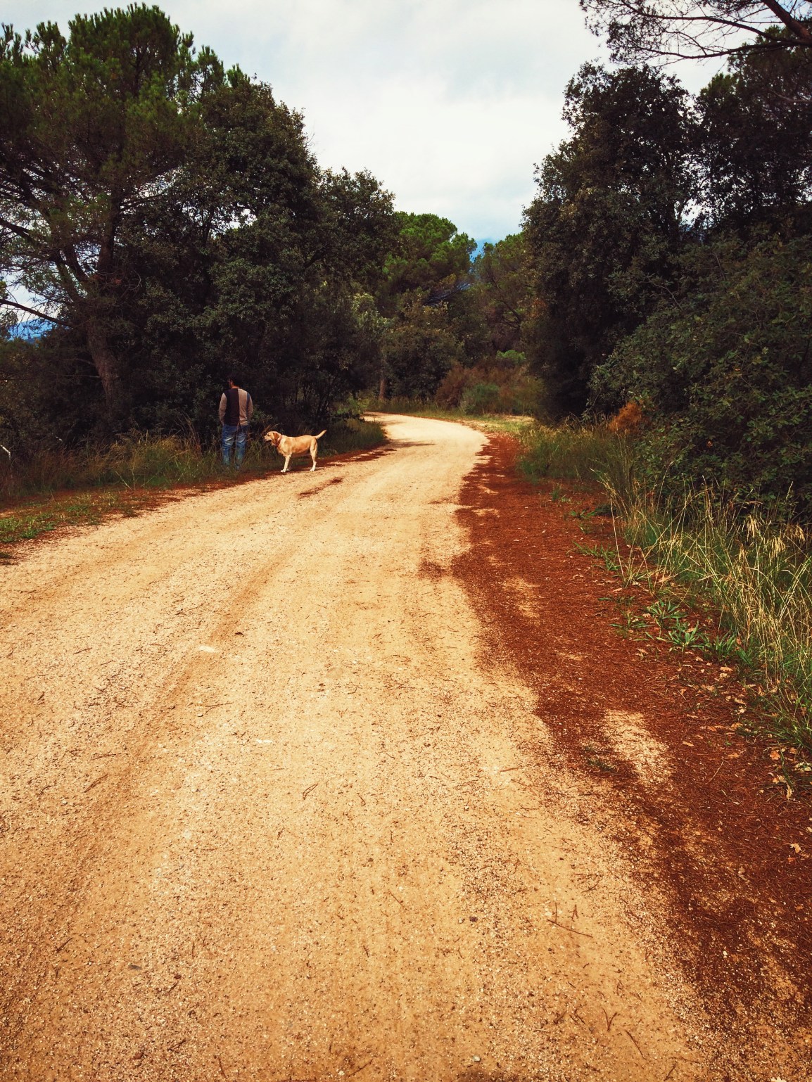 Processed with VSCO with acg preset