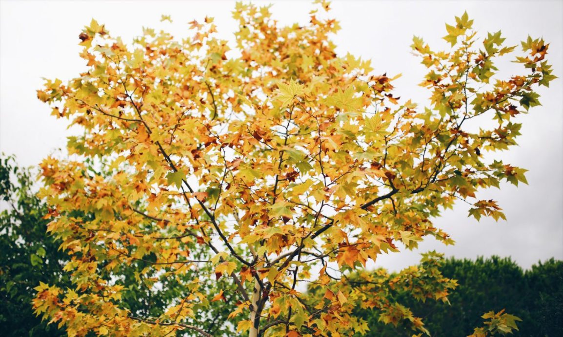 ❥ Ya todo te&nbsp;nombra