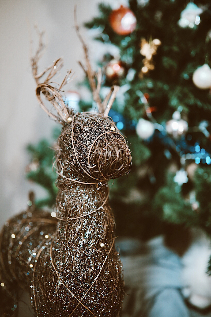 ❥ La última&nbsp;estantería