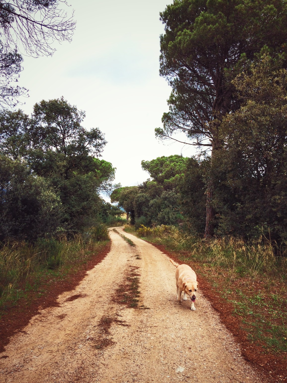 Processed with VSCO with acg preset