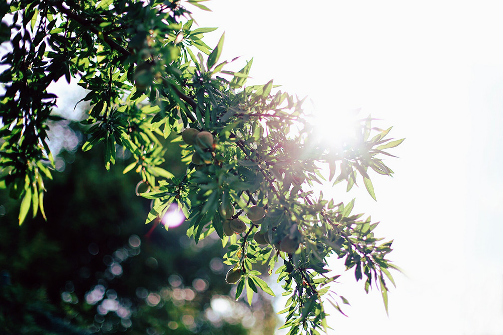 ❥ Y el sol a&nbsp;mordiscos.