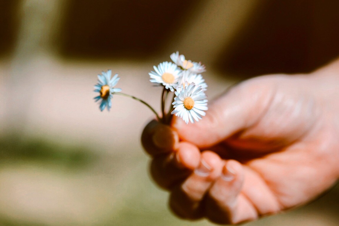 ❥ Flores para un&nbsp;lunes