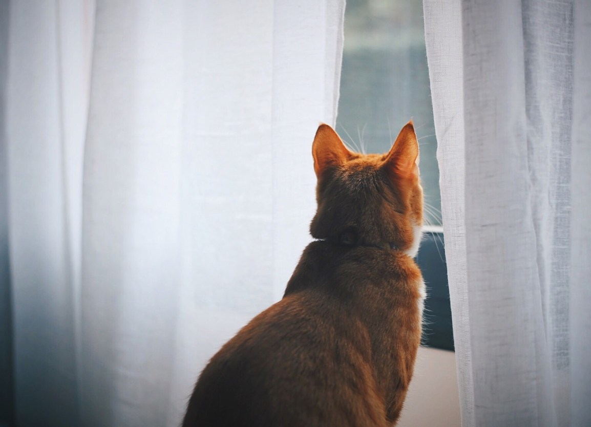 ❥ Cosas de ida y&nbsp;vuelta