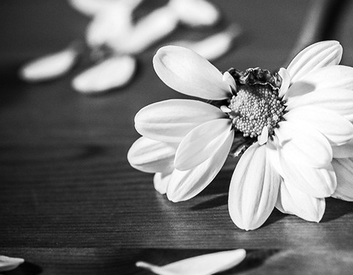 ❥ La lengua en&nbsp;pie