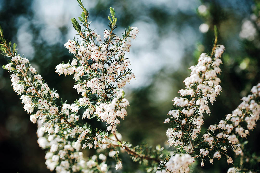 Processed with VSCO with j1 preset