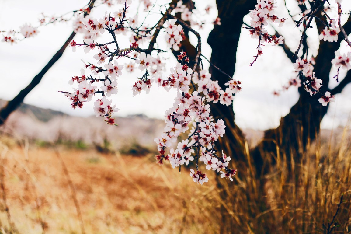 ❥ Casi primavera&nbsp;🌿