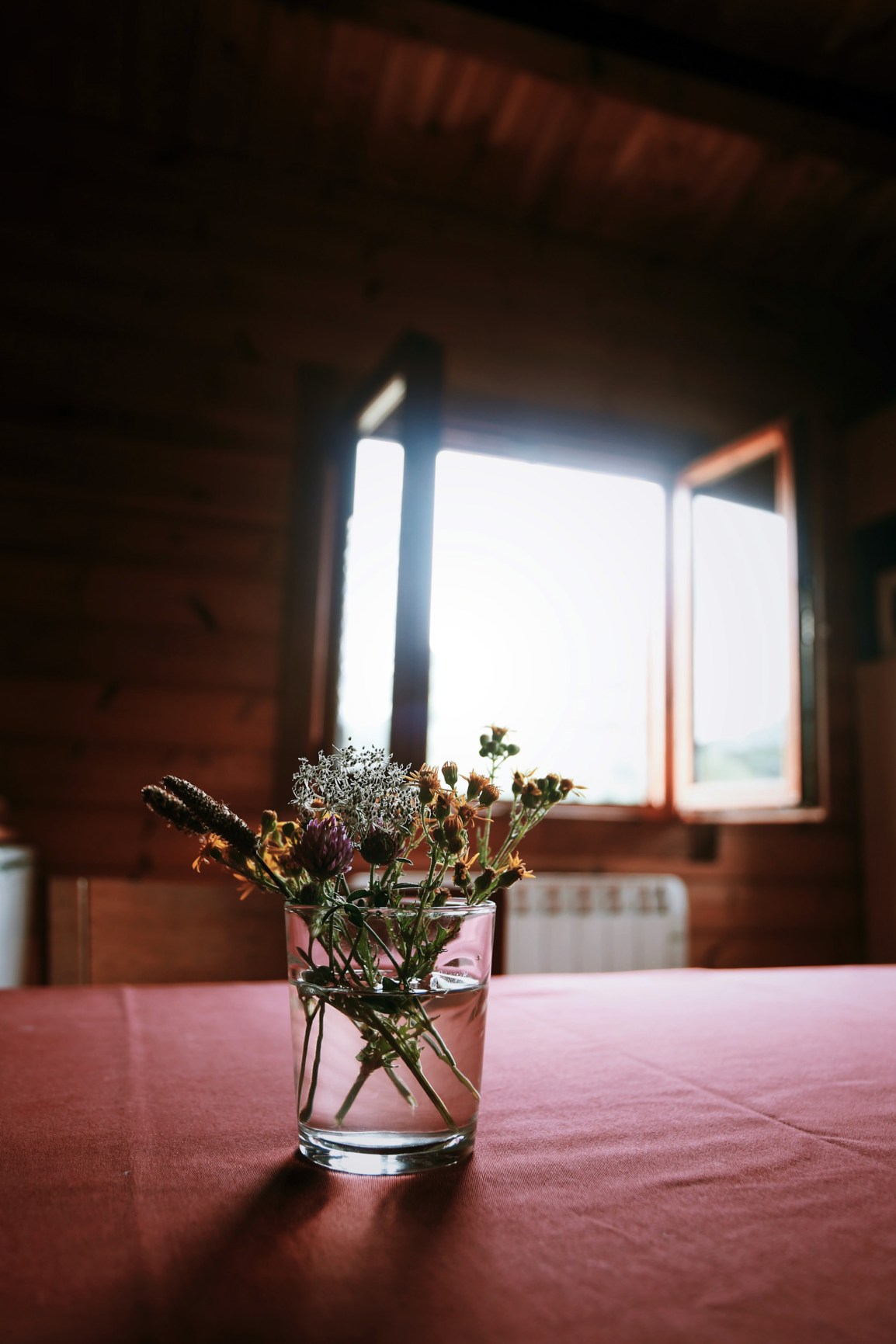 Mi canción favorita -Spll