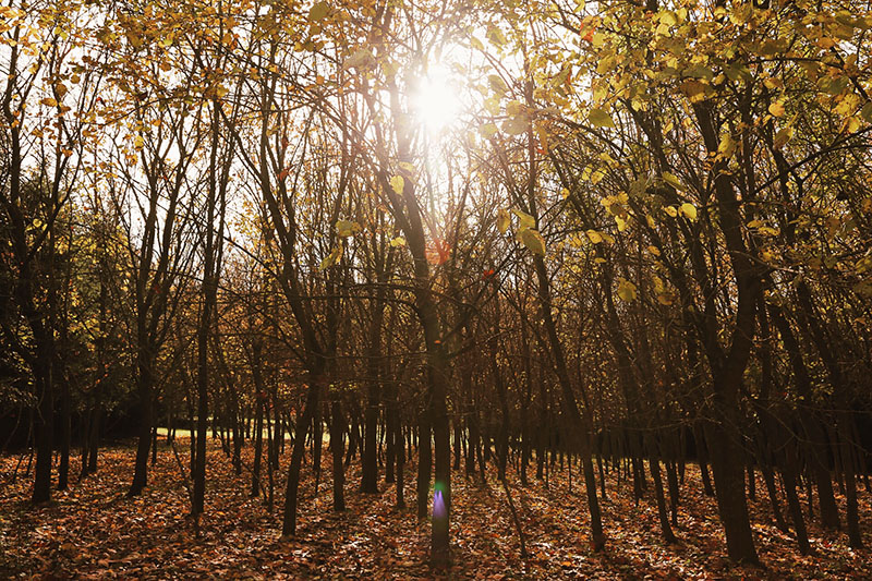 Processed with VSCO with j6 preset