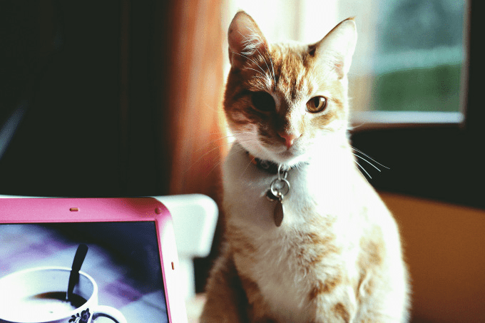 ❥ Año nuevo, blog&nbsp;nuevo