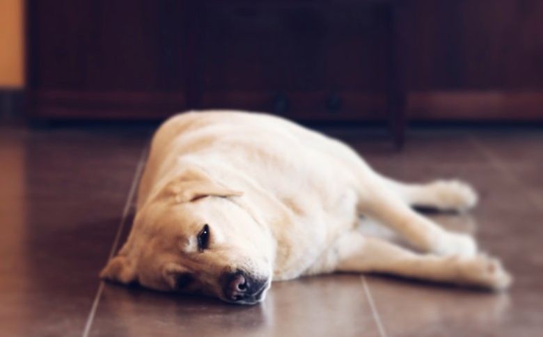 ❥ Bienvenido, Julio