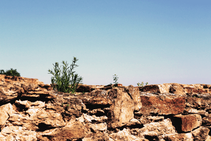 ❥ A veces se me&nbsp;olvida