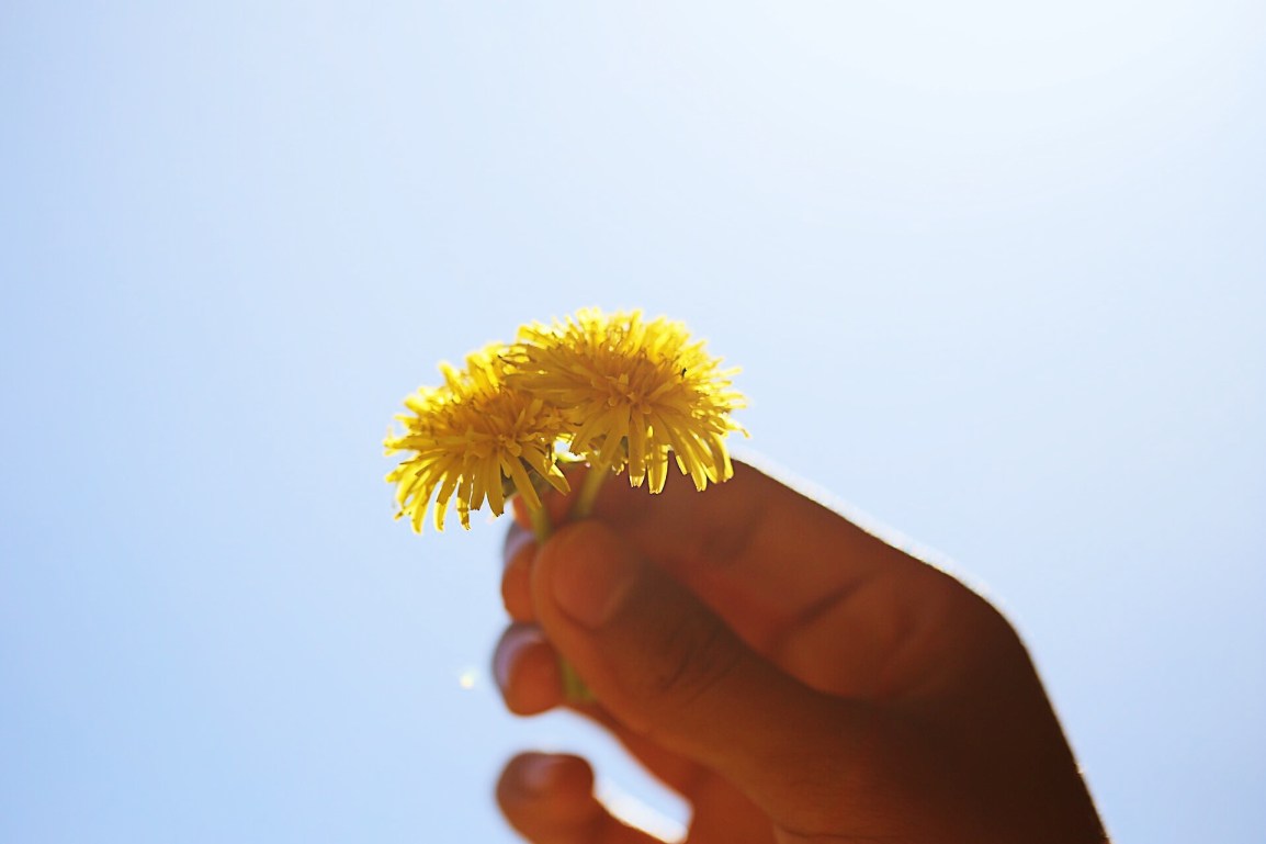 ❥ Después de la&nbsp;tormenta