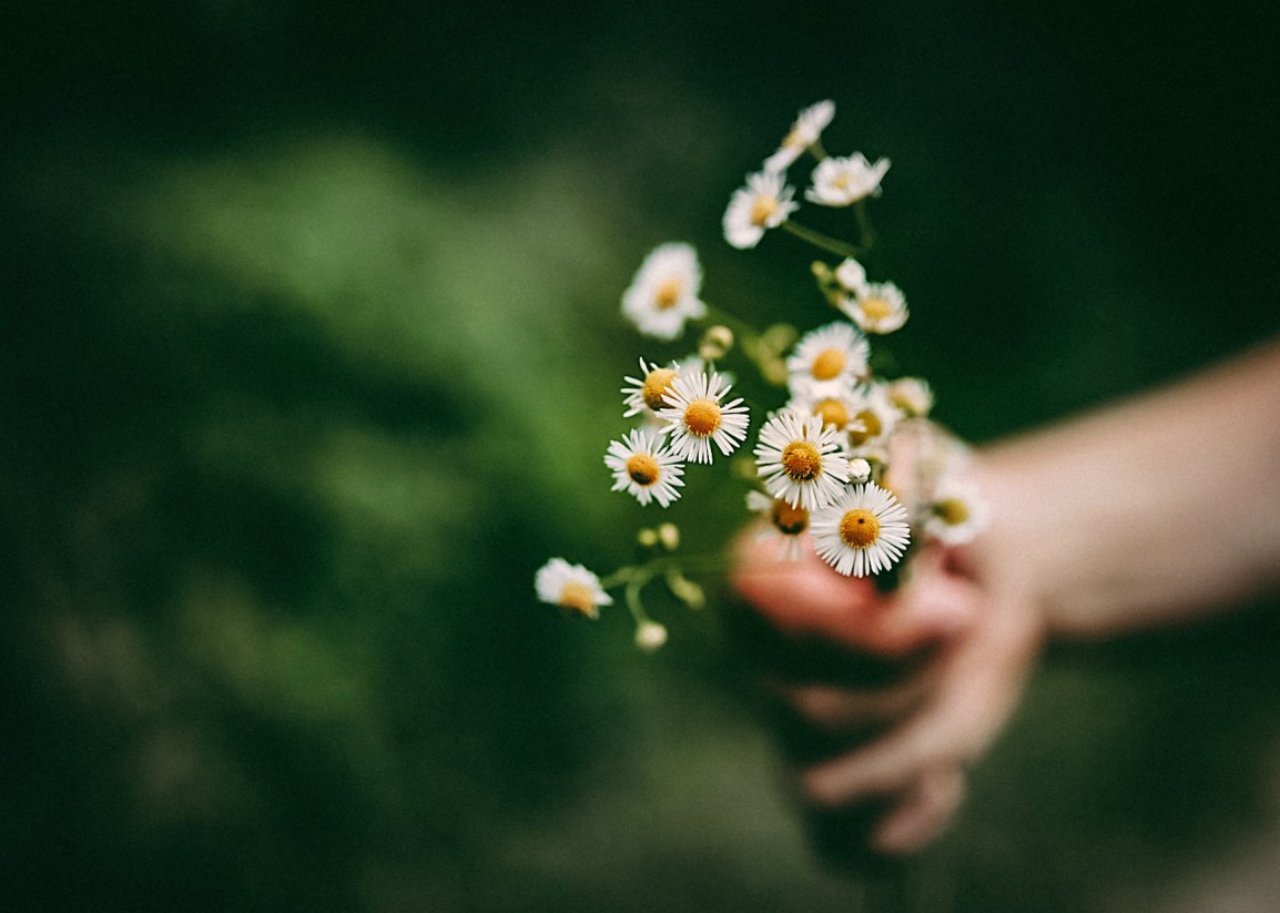 ❥ Todas las&nbsp;flores